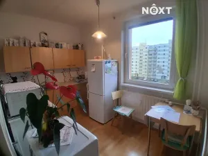 Pronájem bytu 2+1, České Budějovice, Netolická, 50 m2