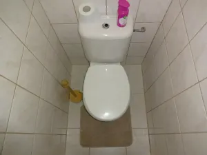Pronájem bytu 2+1, Brno, Studená, 54 m2