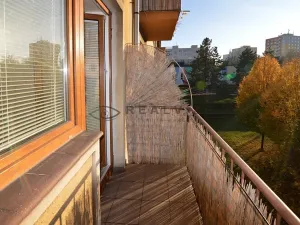 Pronájem bytu 2+1, České Budějovice, Puklicova, 62 m2