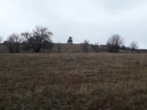 Prodej pole, Teplice nad Metují - Dolní Teplice, 25028 m2