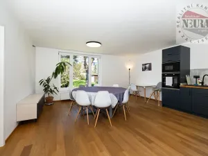 Pronájem bytu 4+kk, Praha - Motol, U hrušky, 150 m2