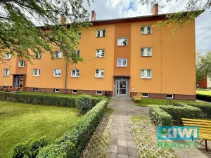 Prodej bytu 2+1, Dolní Benešov, Osada míru, 58 m2
