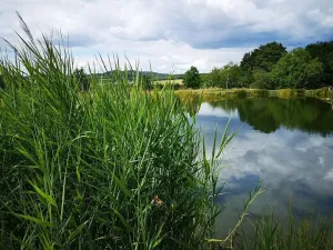 Pronájem bytu 2+kk, Zlín, Podlesí II, 72 m2