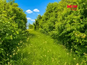 Prodej zahrady, Třebenice, 1690 m2