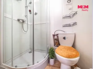 Prodej chaty, Úlice - Hracholusky, 28 m2