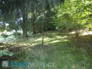 Prodej pole, Kolinec, 2385 m2