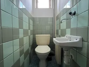 Prodej vícegeneračního domu, Veselí nad Lužnicí, K. H. Máchy, 350 m2