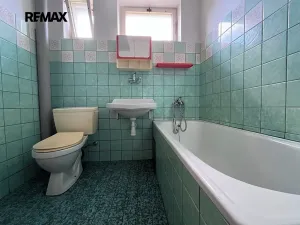 Prodej vícegeneračního domu, Veselí nad Lužnicí, K. H. Máchy, 350 m2