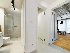Pronájem bytu 2+kk, Brno, Cejl, 47 m2