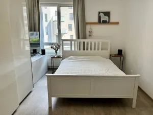 Pronájem bytu 4+kk, Ostrava, Na Prádle, 150 m2