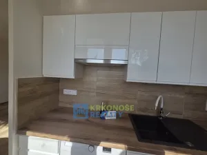 Pronájem bytu 1+kk, Praha - Podolí, Kaplická, 25 m2
