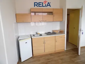 Pronájem bytu 1+kk, Liberec, Rychtářská, 21 m2