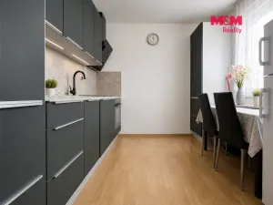 Prodej bytu 1+kk, Klecany, V Honech, 32 m2