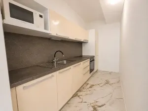 Pronájem obchodního prostoru, Brno, Kollárova, 16 m2