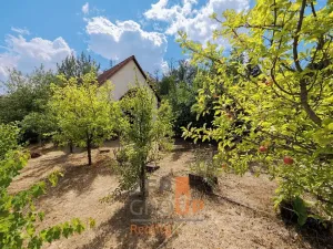 Prodej zahrady, Dyje, 501 m2