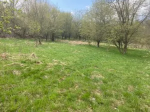 Prodej pozemku pro bydlení, Sázava, 7630 m2