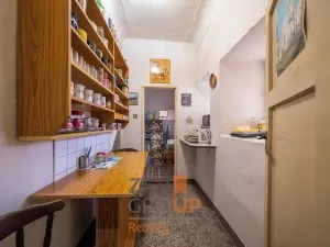 Prodej obchodního prostoru, Šatov, 470 m2
