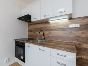 Pronájem bytu 2+kk, Most, Lidická, 33 m2