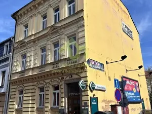 Prodej vícegeneračního domu, Plzeň, 776 m2