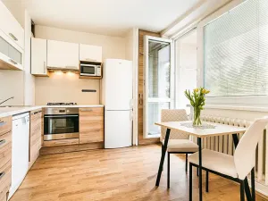 Prodej bytu 2+kk, Brno, Horácké náměstí, 47 m2