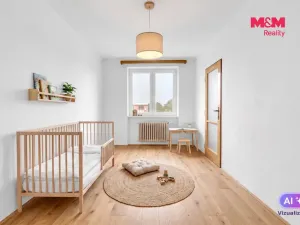 Prodej bytu 3+1, Vysoké Mýto - Pražské Předměstí, Rašínova, 62 m2