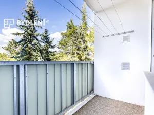 Prodej bytu 1+1, Louny, Březinova, 36 m2