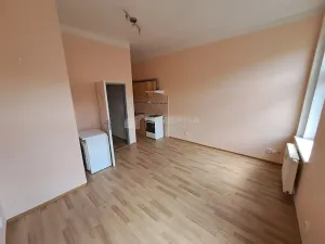 Pronájem bytu 1+kk, Praha - Žižkov, Vlkova, 28 m2