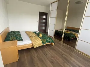 Prodej bytu 2+1, Ostrava, Gajdošova, 78 m2