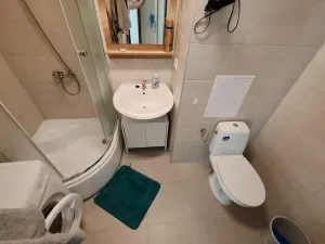 Prodej bytu 2+1, Teplice, Alejní, 50 m2