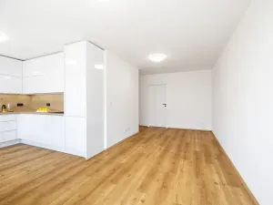 Prodej bytu 3+kk, Praha - Krč, Hurbanova, 68 m2