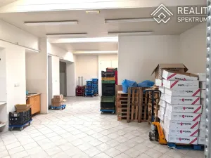 Prodej obchodního prostoru, Ústí nad Orlicí, T. G. Masaryka, 430 m2