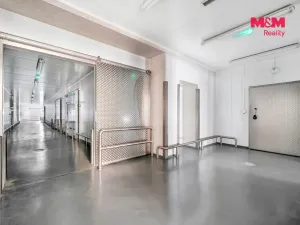 Pronájem obchodního prostoru, Červený Kostelec, Sokolská, 726 m2