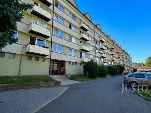 Pronájem bytu 1+1, Písek, nábřeží 1. máje, 42 m2