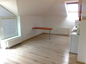 Prodej bytu 1+kk, Písek, Hostivítova, 35 m2