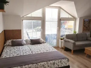 Prodej bytu 1+kk, Písek, Hostivítova, 35 m2