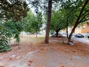 Pronájem bytu 3+1, Hradec Králové, Haškova, 73 m2