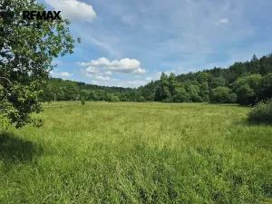 Prodej komerčního pozemku, Linhartice, 12284 m2
