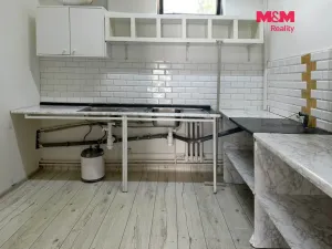 Pronájem obchodního prostoru, Mladá Boleslav - Mladá Boleslav II, Blahoslavova, 65 m2