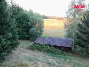 Prodej zahrady, Bělá nad Radbuzou, 6001 m2