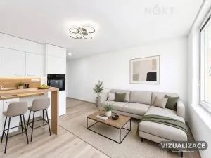 Pronájem bytu 1+kk, České Budějovice, Plzeňská, 19 m2