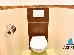 Pronájem bytu 3+kk, Mladá Boleslav - Mladá Boleslav II, Jana Palacha, 83 m2