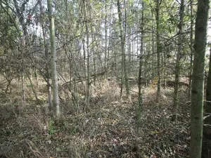 Prodej pozemku, Dolní Břežany, Keltská, 3508 m2