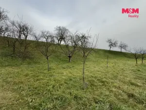Prodej zahrady, Bezuchov, 901 m2