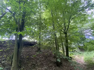 Prodej pozemku, Olbramice, 708 m2