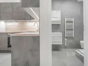 Pronájem bytu 1+1, Praha - Žižkov, Krásova, 32 m2