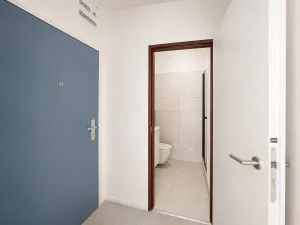 Prodej bytu 1+kk, Brno, Cejl, 60 m2