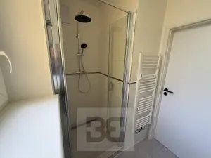 Pronájem bytu 1+1, Praha - Smíchov, Plzeňská, 44 m2