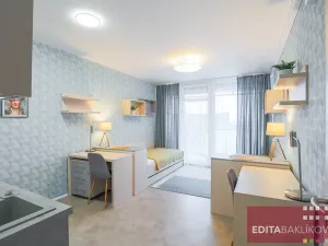 Pronájem bytu 1+kk, Olomouc, 17. listopadu, 33 m2
