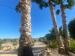 Prodej rodinného domu, Dolores, Alicante, Španělsko, 180 m2