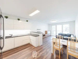 Pronájem bytu 3+kk, Olomouc, Eduarda Hamburgera, 89 m2